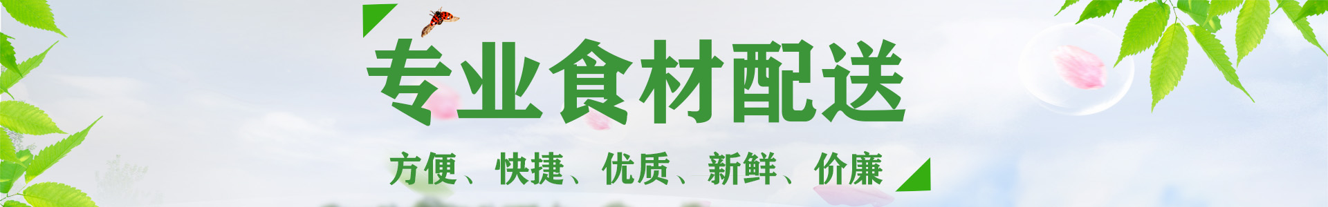 大雪-公司資訊-911香蕉视频网站農產品集團有限公司